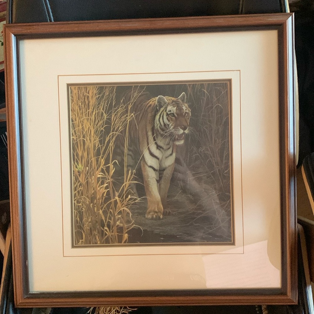 Gorgeous Wild Tiger Print Beautifully Framed and Matted 18 inch by 18 frame